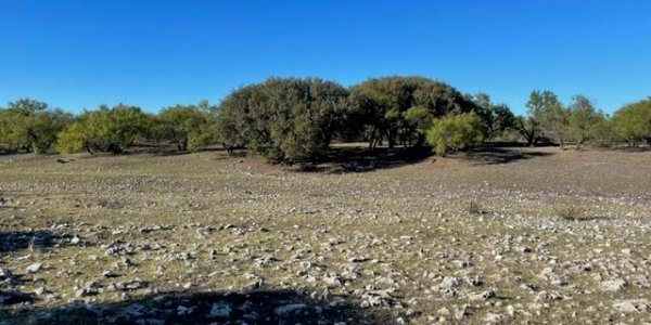 Listing image 111112-0