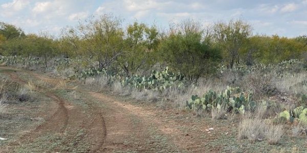 Listing image 111632-0