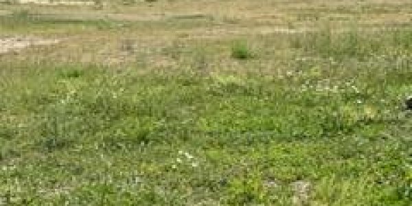 Listing image 112901-0